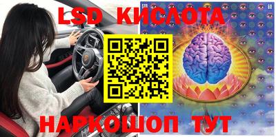 спайс Тара
