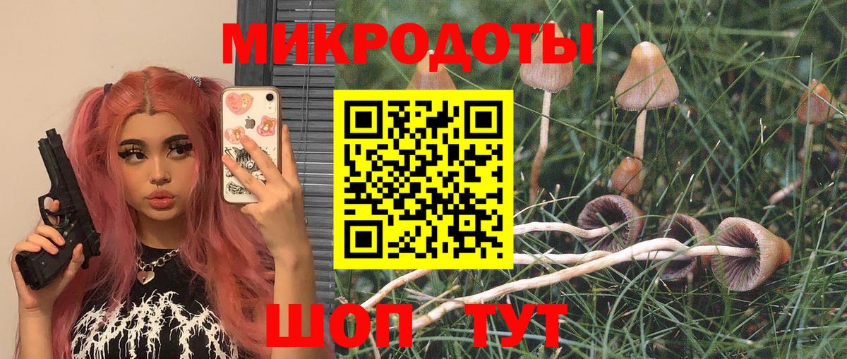Галлюциногенные грибы мухоморы  Вход с VPN  Солнечногорск 